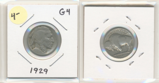 Picture of 1929 Buffalo Nickel G4
